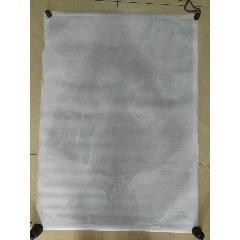 制作新泽西州ID